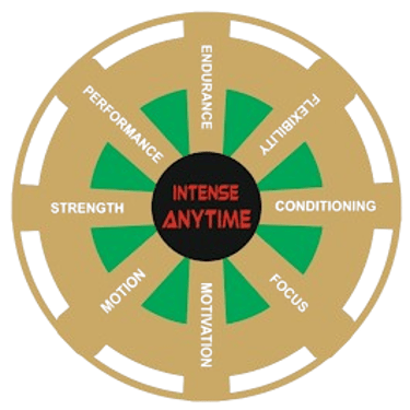 Intense Anytime GYM logo