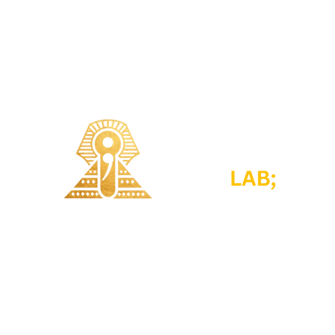 Imagine Brand Lab logo