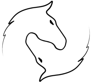 Equimovex logo