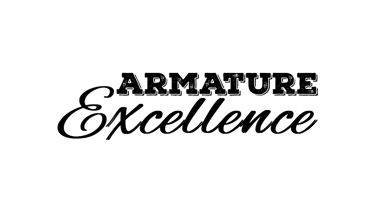 Armature Excellence logo