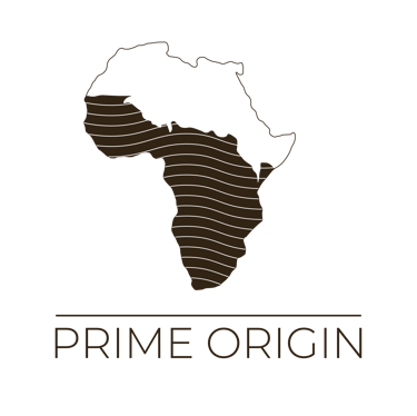 Bantu Origin logo