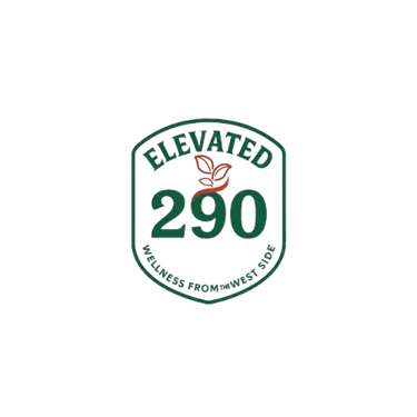 Elevated 290 logo