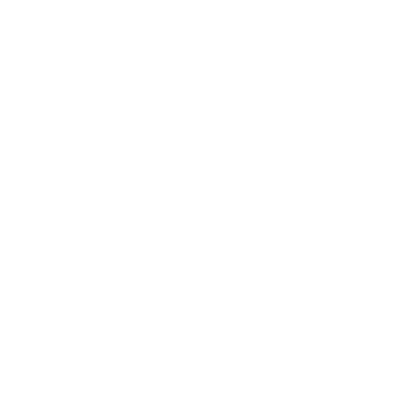 The Shiny Crew logo