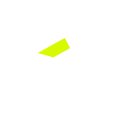 Strong Skills Records — AI Music Label & Branded Sound Studio logo