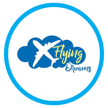 Flying Dream Travels logo