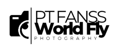 PT FANSS WORLD FLY logo