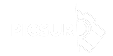 Picsur logo
