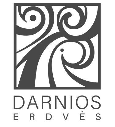 Darnios erdvės logo