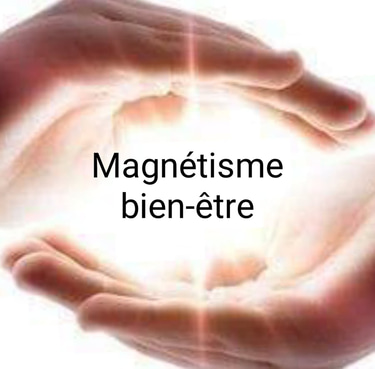 Magnétisme bien être logo