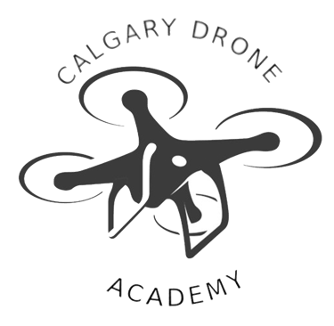 Drone training and inspection services logo