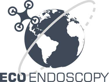 Eco Endoscopy logo
