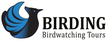 Birding logo