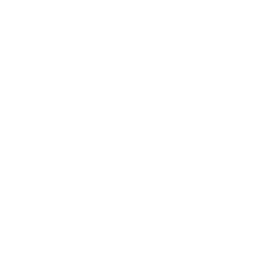 Julianna & José Miguel Wedding logo