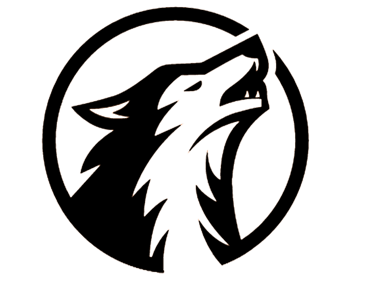 WIZE logo