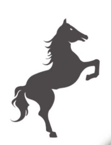 BHARAT GLOBAL TITAN logo