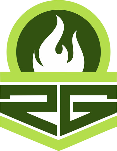 Raut S Group logo