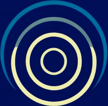 Fractionals for Impact logo