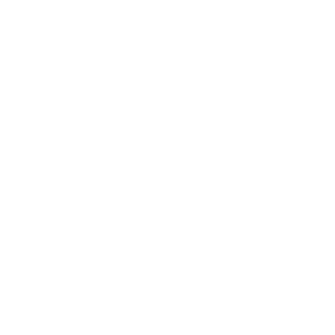 Nexav logo