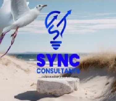 Sync Consultants LLC logo
