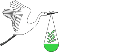 Minha Filha Planta logo
