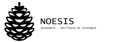 NOESIS logo