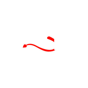 PrivFy logo
