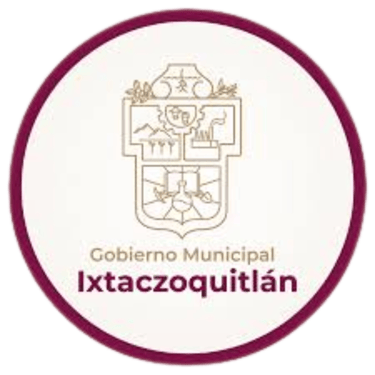 Fortin Veracruz logo
