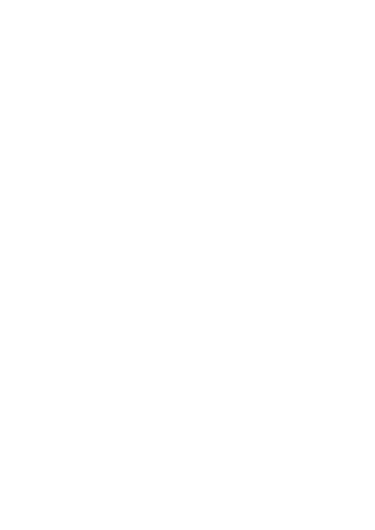 Pinishtti logo