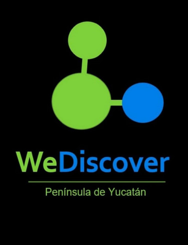 WeDiscover logo