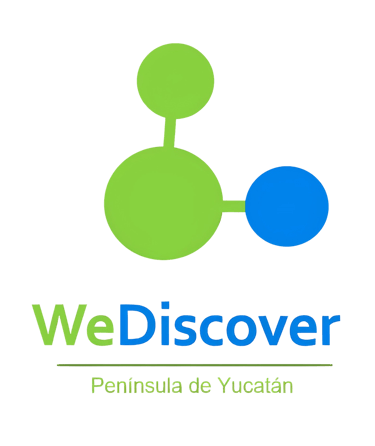 WeDiscover logo