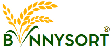 BinnySort logo