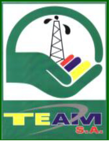 Team SA logo