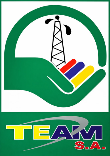 Team SA logo