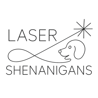 Laser Shenanigans logo