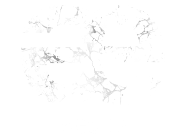 FORMATION AGORA logo