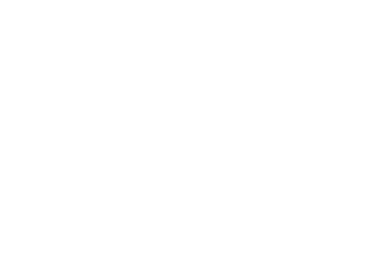 Accex logo