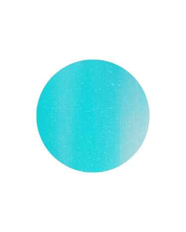 Bluetopica logo