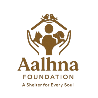 Aalhna Foundation logo