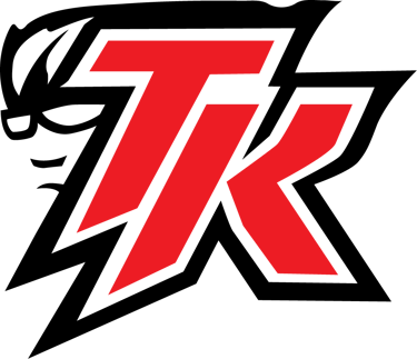 tkdesignz logo