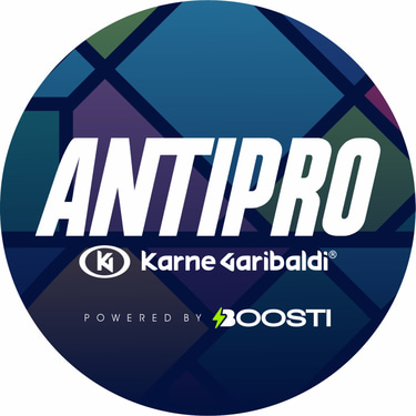 Antipro Project 2025-2026 logo