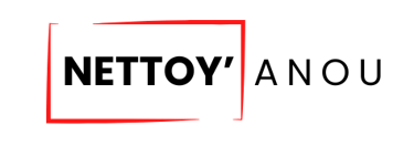Nettoy'anou logo