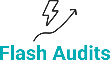 Flash Audits logo