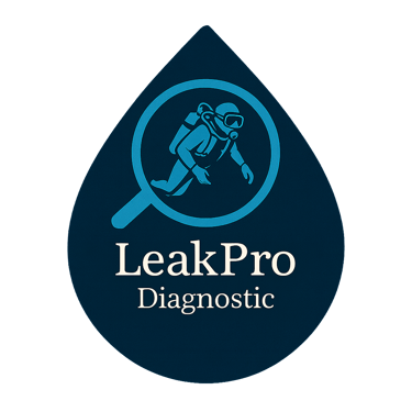 LeakPro Diagnostic logo