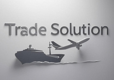 TRADE SOLUTION MEXICO logo
