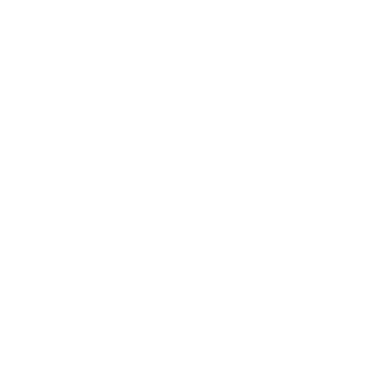 LMN Studio logo