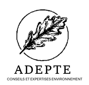 ADEPTE ENVIRONNEMENT logo