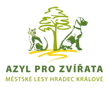 Charitativní běh logo