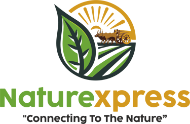 Naturexpress logo