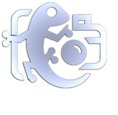 Fotografia Masculina logo