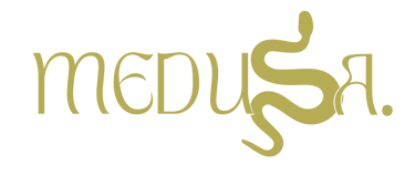 Medusa Agency logo